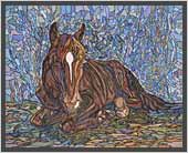 Foal
